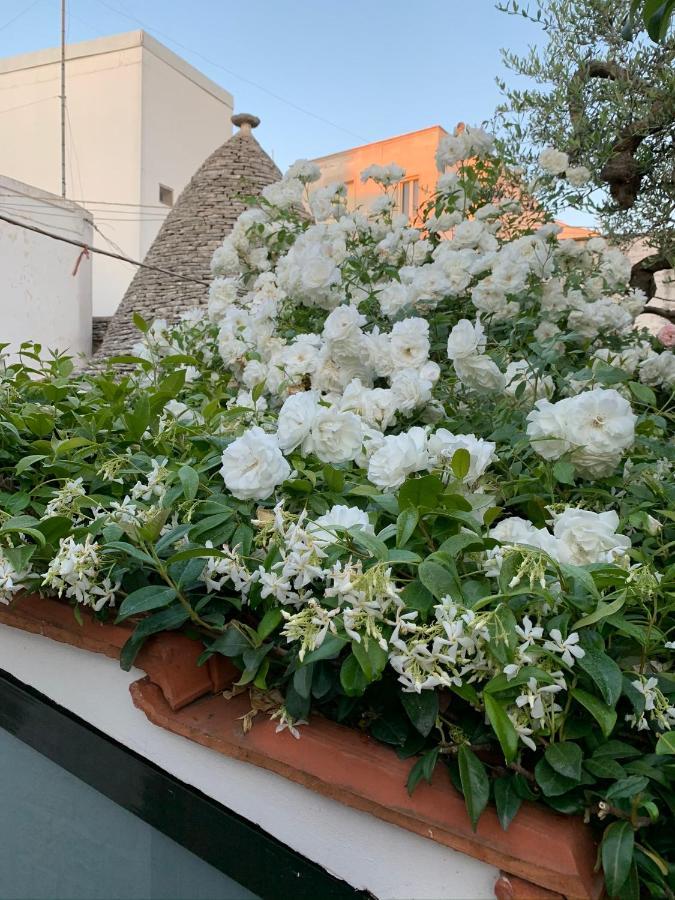 Trulli Madia Luxury Alberobello Exterior photo