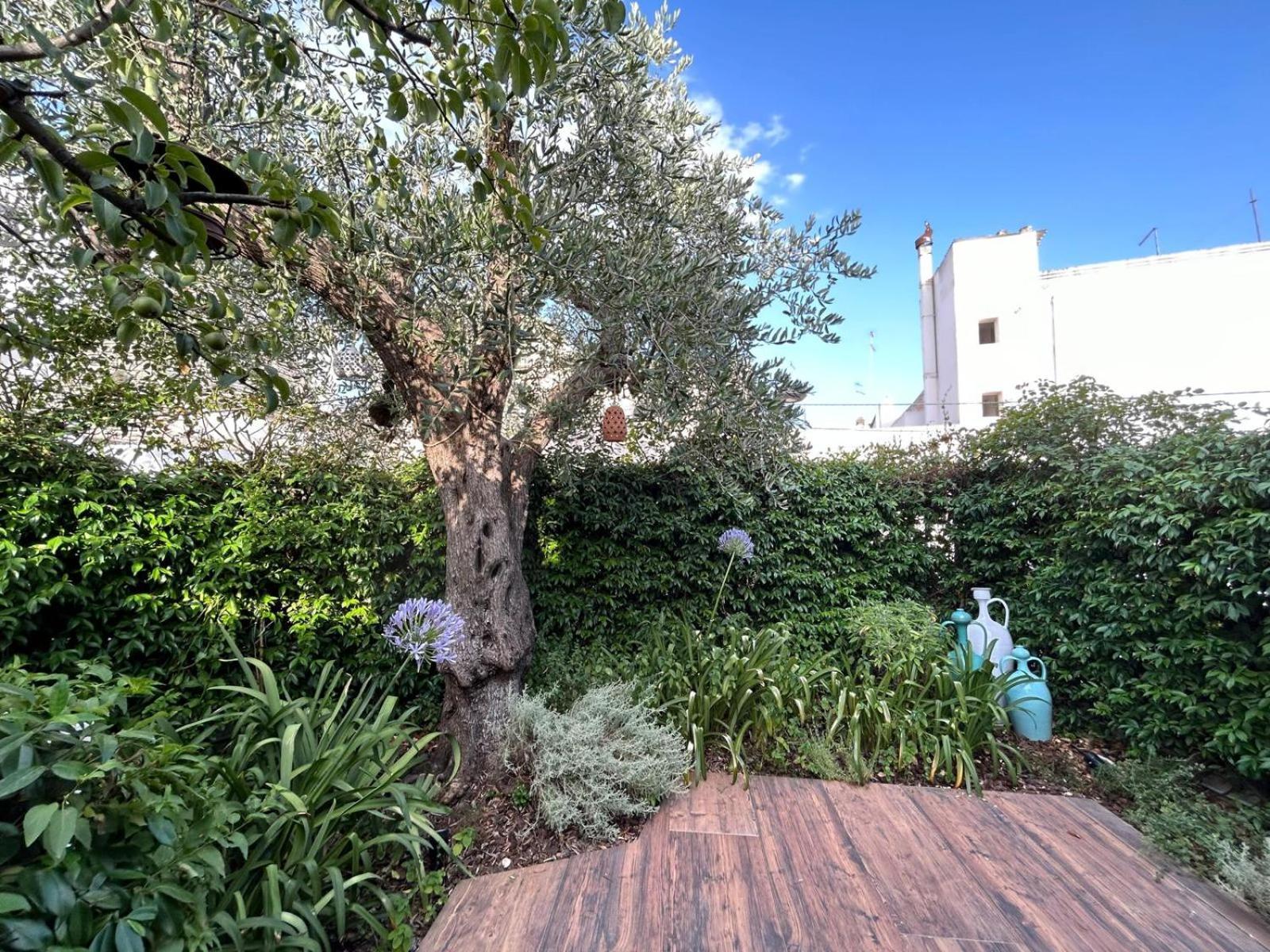 Trulli Madia Luxury Alberobello Exterior photo