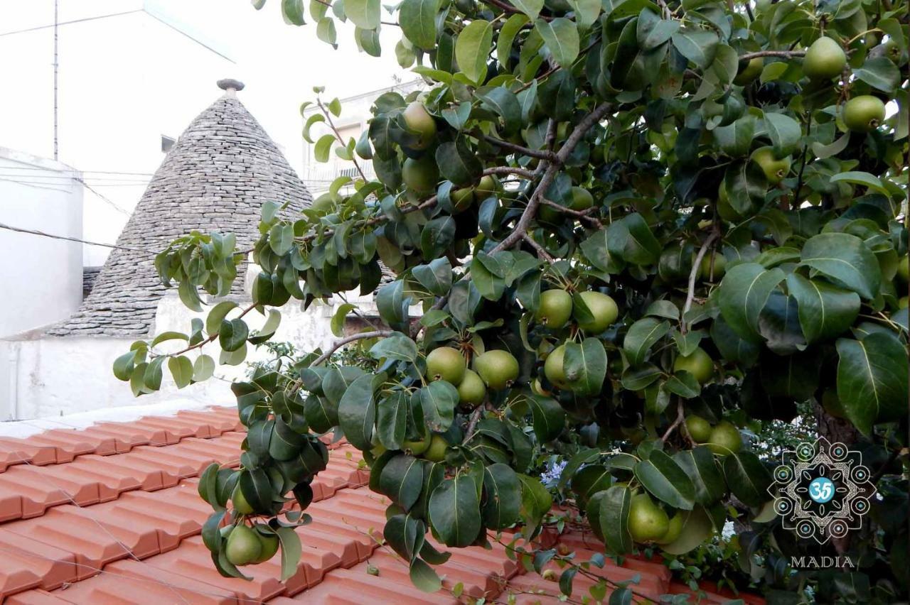 Trulli Madia Luxury Alberobello Exterior photo